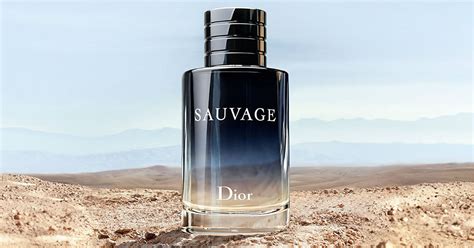 dior mens samples|dior free samples.